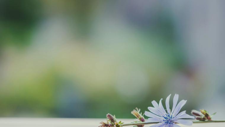 Ayez une bonne conduite malgré les persécutions !