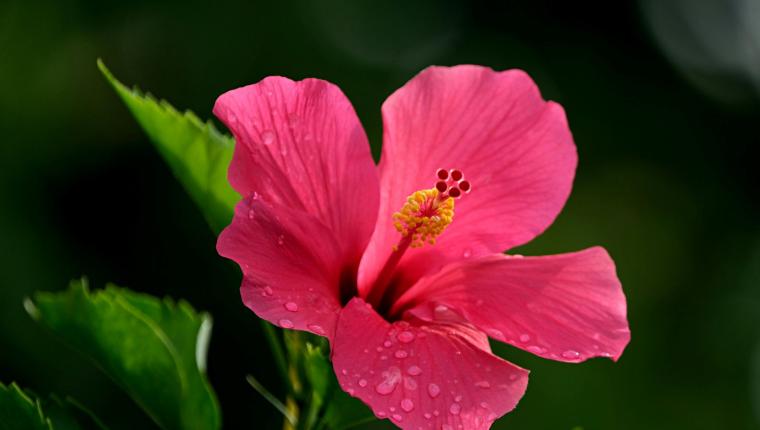 De l’épreuve à l’élévation !