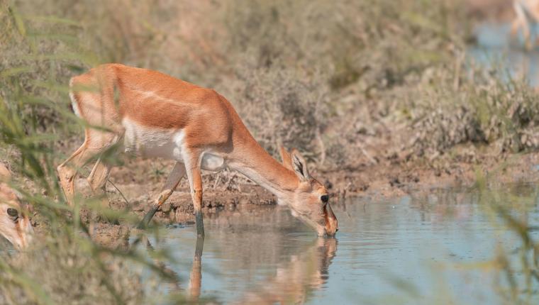 La confiance en Dieu, une bénédiction !