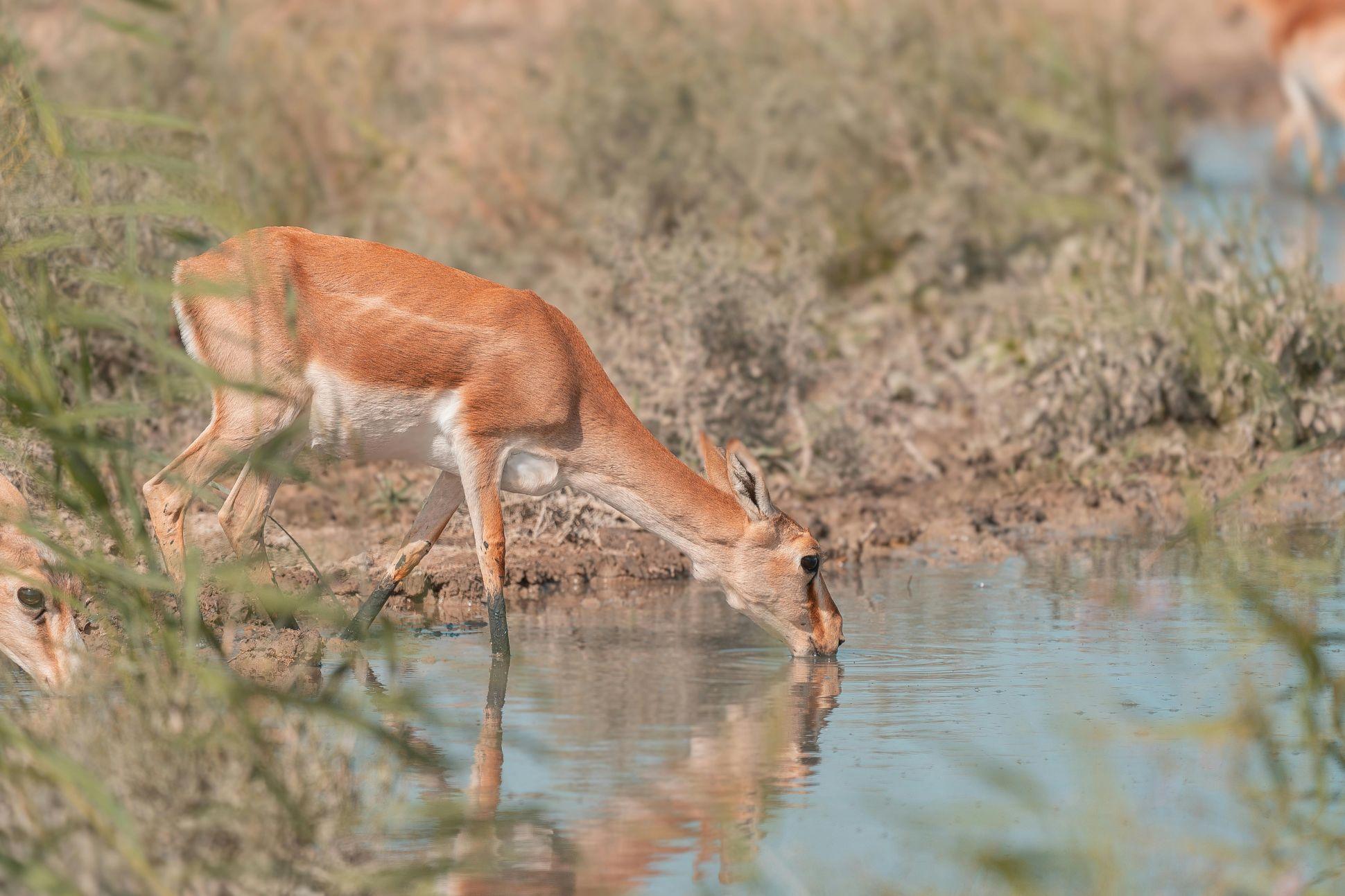 La confiance en Dieu, une bénédiction !