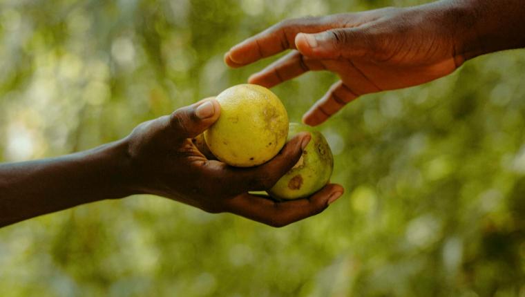 La générosité en cas de crise !