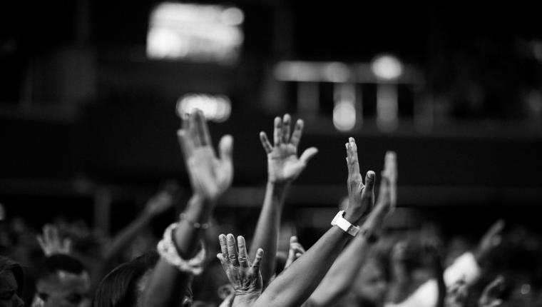 Les vrais adorateurs !