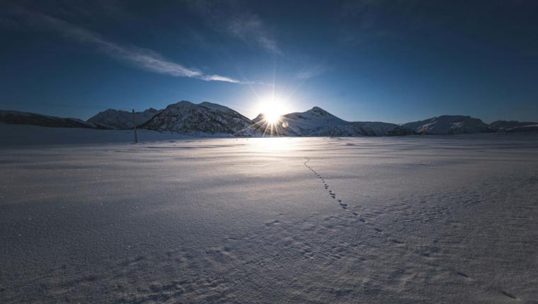 La persévérance et la fidélité de Caleb.